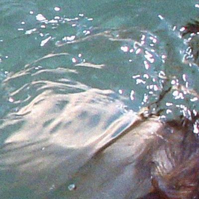 approximate detail of poster at actual size