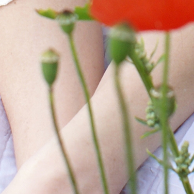 approximate detail of poster at actual size