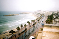 Palm trees reflected in Tunisian street 