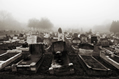 Graveyard in the morning mist