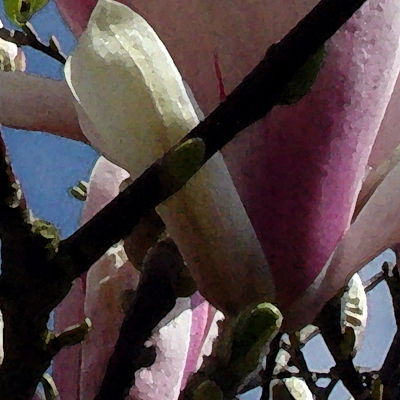 approximate detail of poster at actual size