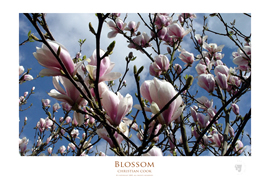 preview of poster prints of art photography available from Photobox at www.photoboxgallery.com/thinctanc