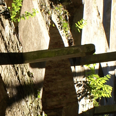 approximate detail of poster at actual size