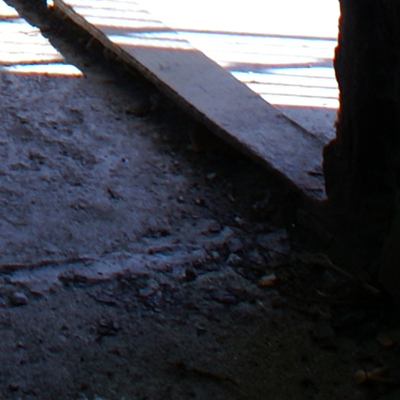 approximate detail of poster at actual size