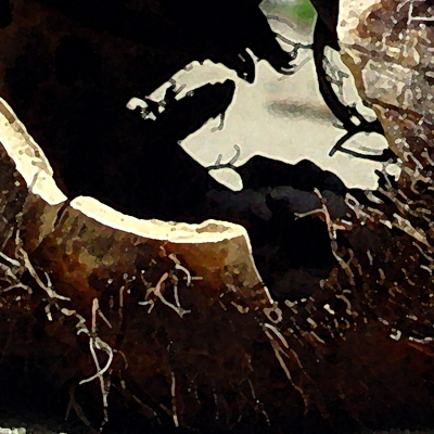 approximate detail of poster at actual size