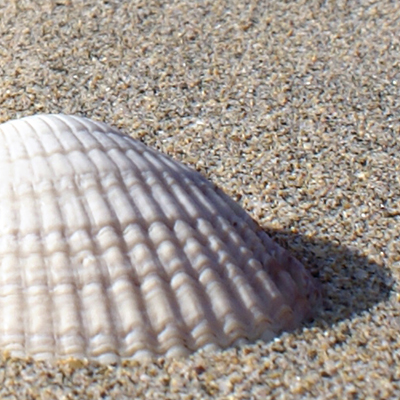 approximate detail of poster at actual size