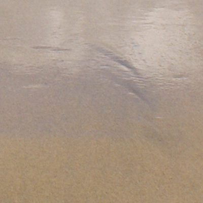 approximate detail of poster at actual size