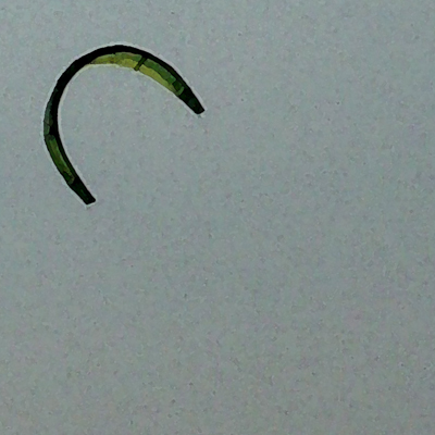 approximate detail of poster at actual size