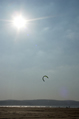 kites on a beach in the evening