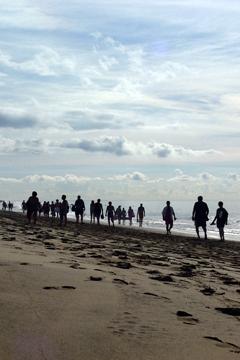 Maspalomas beach walkers