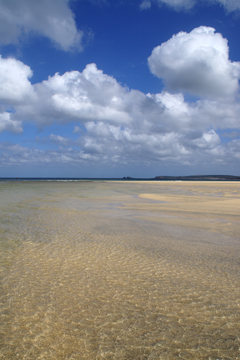 shallow water in Hayle Estuary