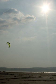 kites on a beach in the evening