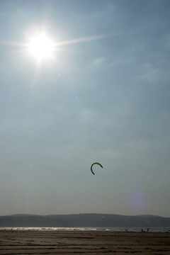 kites on a beach in the evening