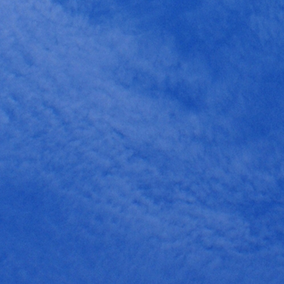 approximate detail of poster at actual size
